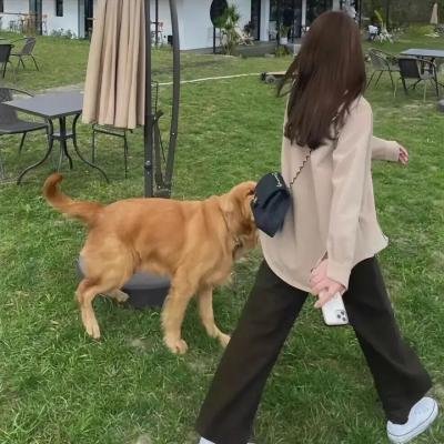 小心身后